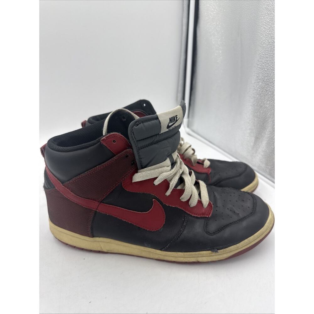 Size 11 North Varsity Nike Dunk Bred